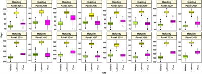 Dissecting the Genetic Architecture of Phenology Affecting Adaptation of Spring Bread Wheat Genotypes to the Major Wheat-Producing Zones in India